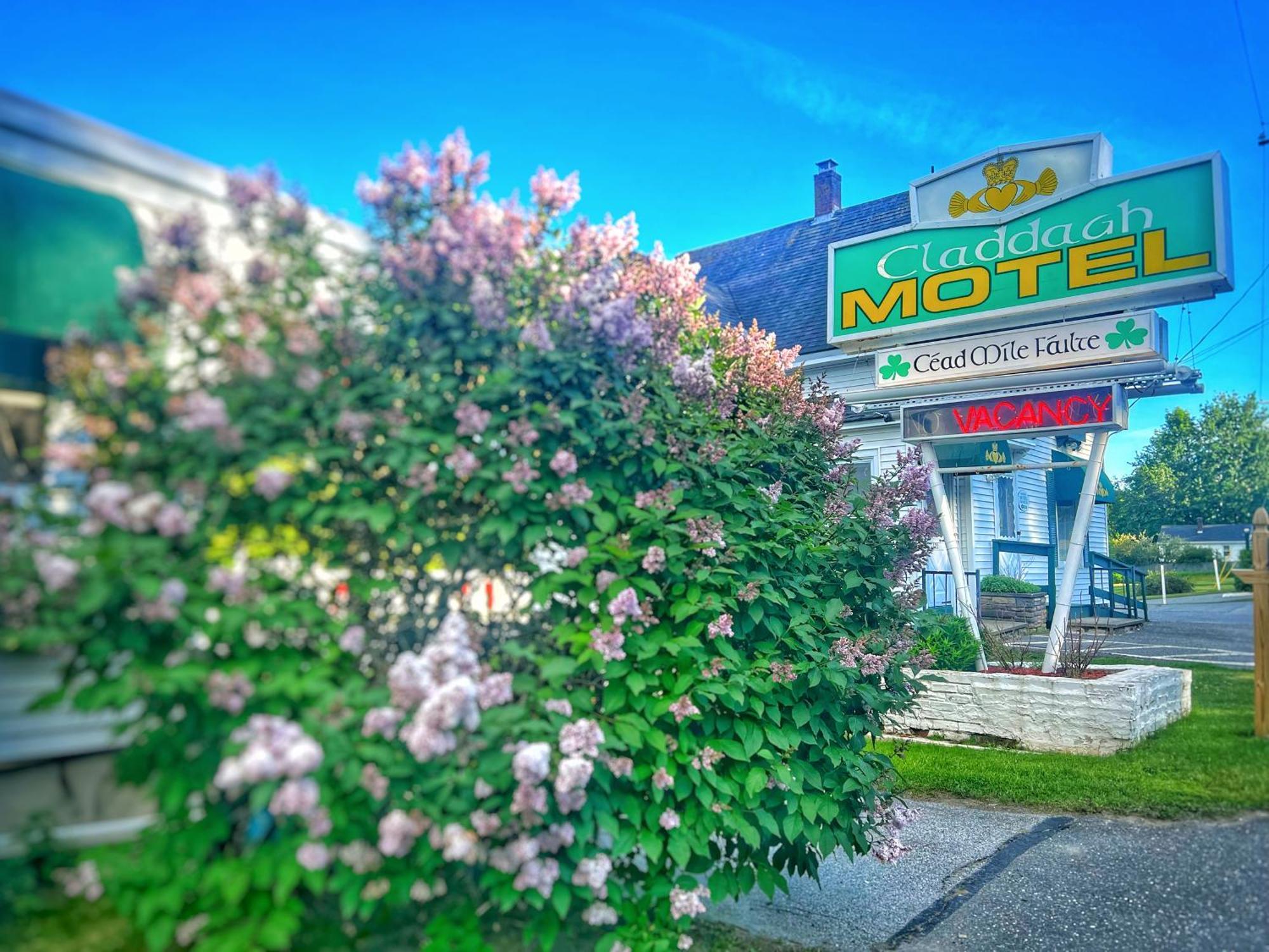 Claddagh Motel & Suites Rockport Kültér fotó
